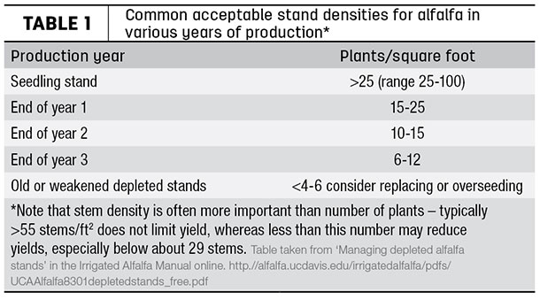 acceptable stand densities for alfalfa