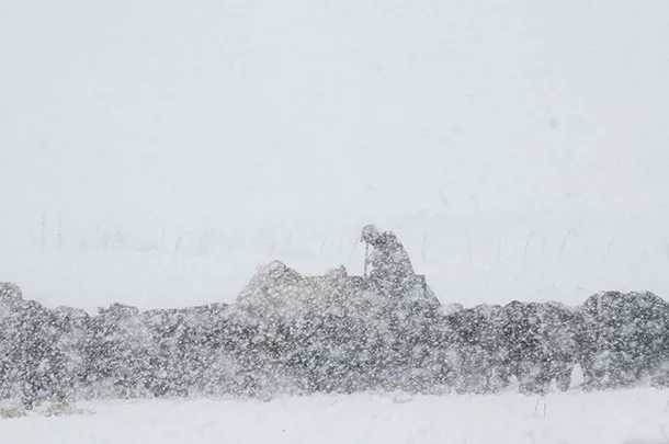 Feeding in the cold