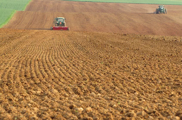 Planting crops