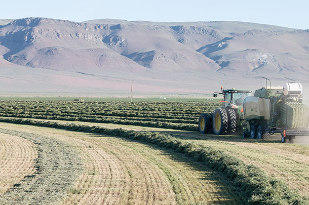 Baling hay ath the Knott Creek Ranch