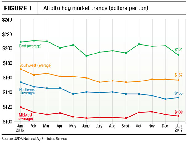 Alfalfa market trends