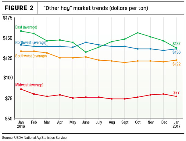Other hay market trends