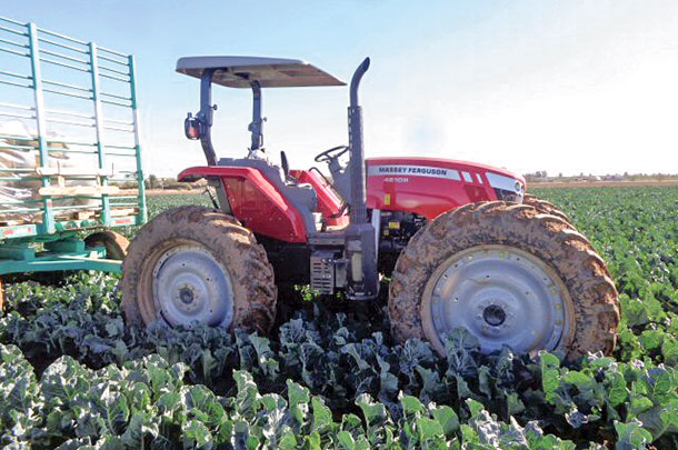 Massey Ferguson high-clearance tractor