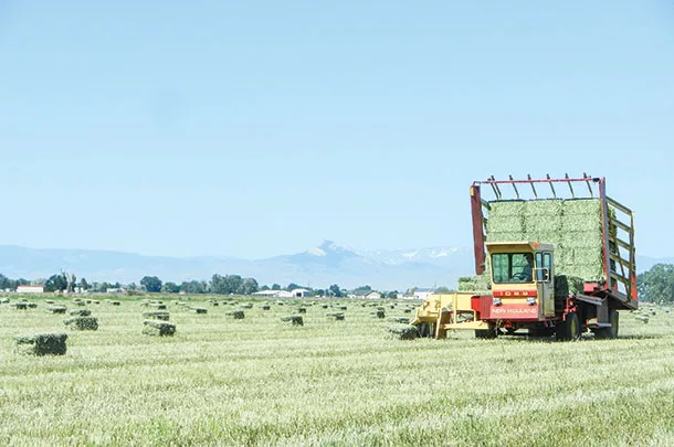 Custom haying business