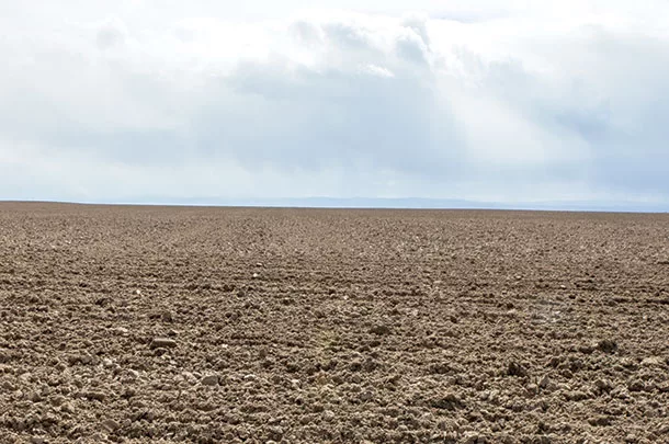 What is the probability that yield will increase if we apply fertilizer?