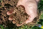 soil health