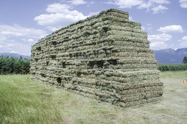 Koch stacks his hay in a pyramid shape to aid in water runoff