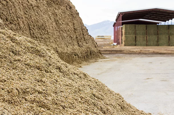 silage pile