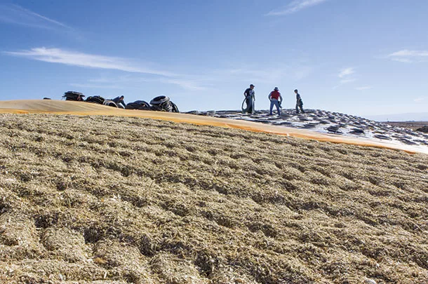 Don't lose silage to mismanagement