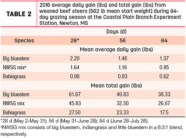 2016 average daily gain lbs and total gain lbs