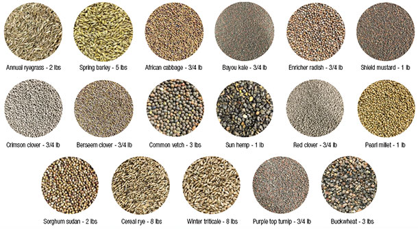17 seed blend
