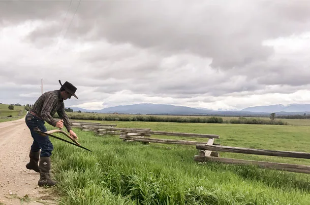 cutting grass with a scythe