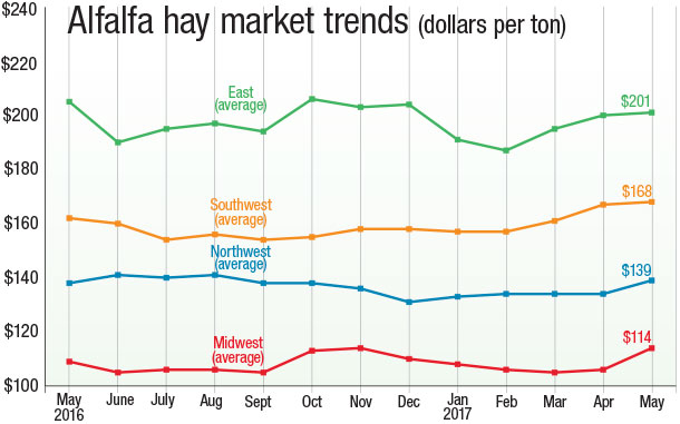 Alfalfa Market Trends