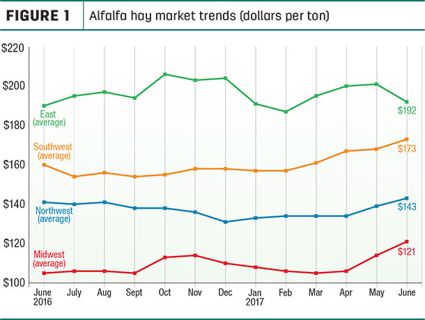 Alfalfa market reports