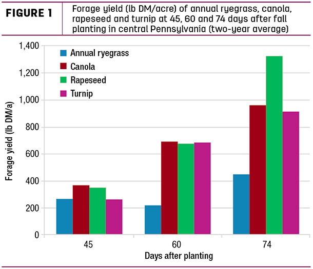 Forage yield (lb DM/acre) of annual ryegrass, canola, rapeseed and turnip 