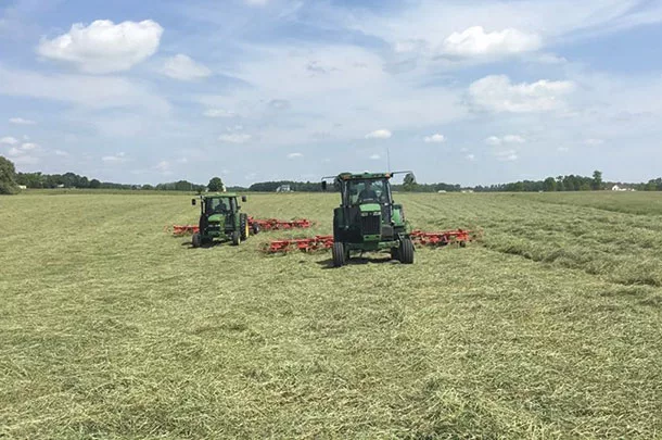 Raking into windrows 