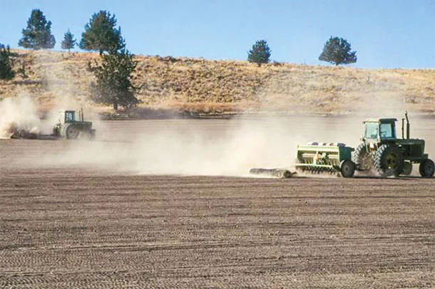Planting in the fall