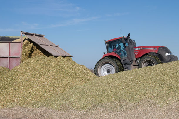 silage packing