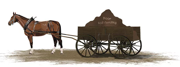 Horse and wagon