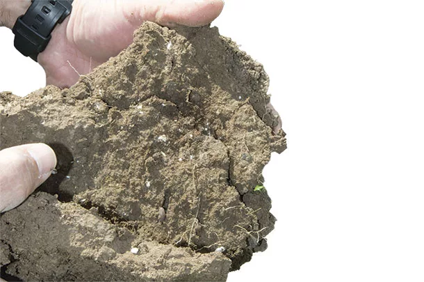 Soil nutrient management