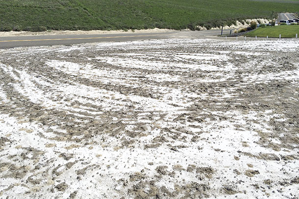 Alkali bee bed in touchet-Gardena area
