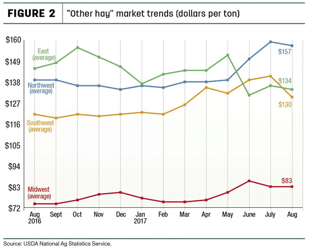 other hay market trends