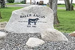 Baker Angus