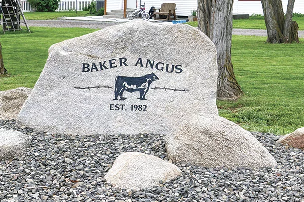 Baker Angus