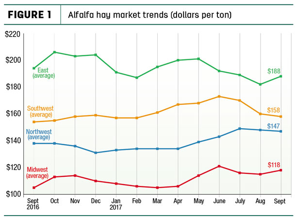 Alfalfa hay market trends