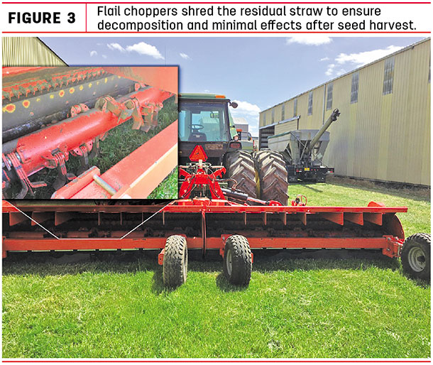 Flail choppers shred the residual straw to ensure decomposition and minimal effects after seed harvest