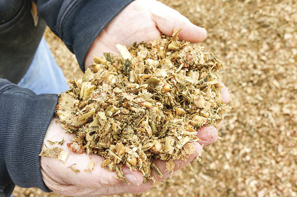 Mahler taught himself to make his own silage, which he feeds in a TMR to his bulls.