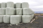Wrapped bales