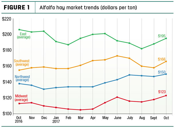Alfalfa market trends