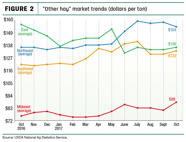 "other hay" market trends