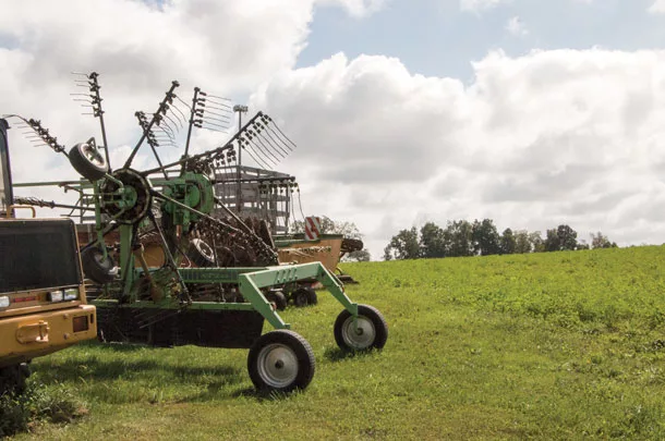alfalfa-grass stand