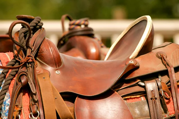 saddle