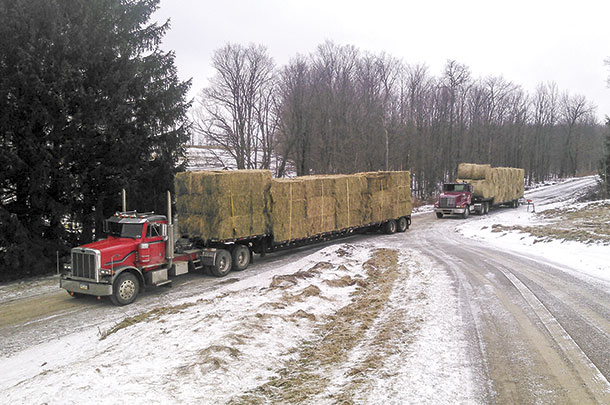 Hauling hay