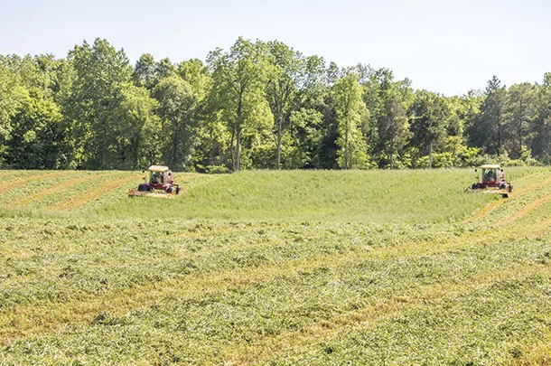 Cutting grass