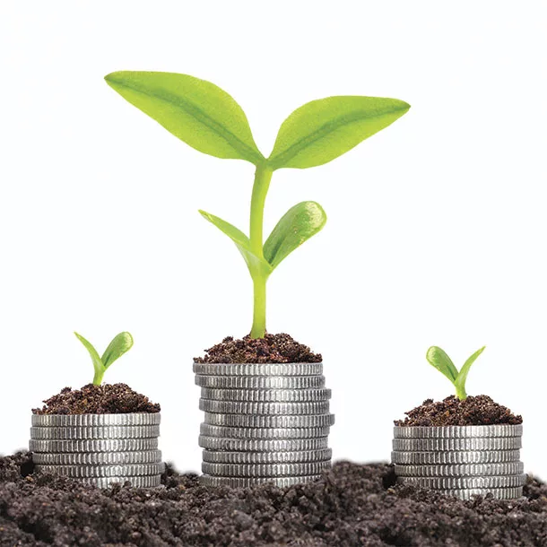 agricultural lending