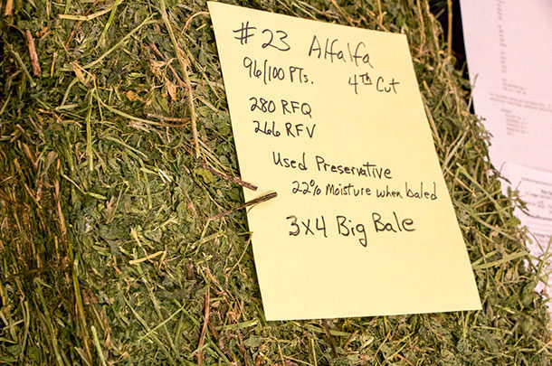 alfalfa bale with nutritive values