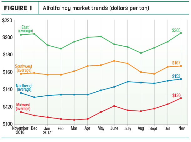 alfalfa market trends