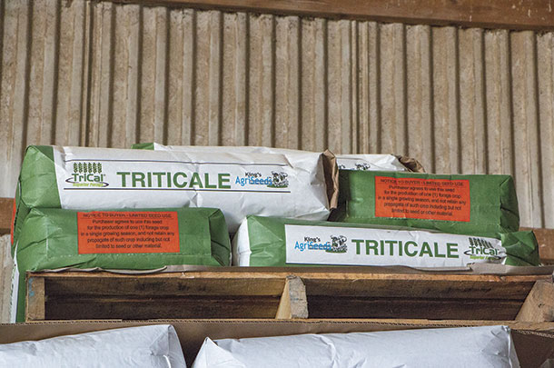 The Eldreds raise oats, wheat, barley and triticale seed for retail