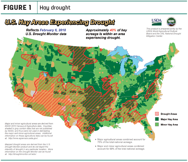 Hay drought