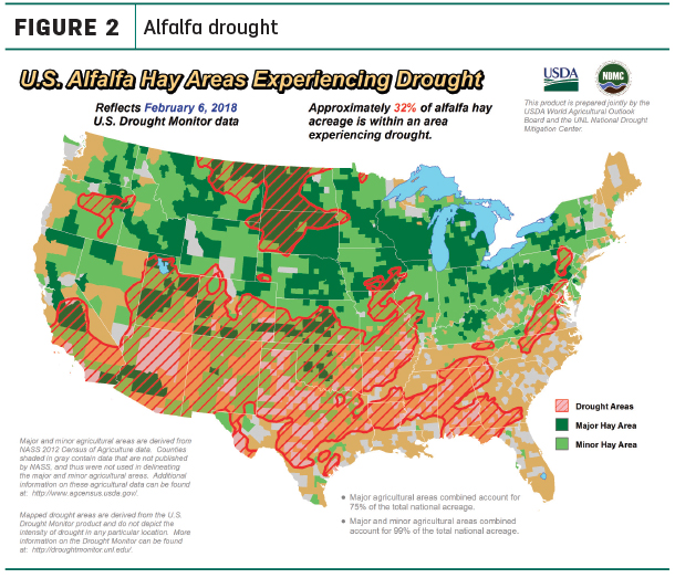 Alfalfa drought