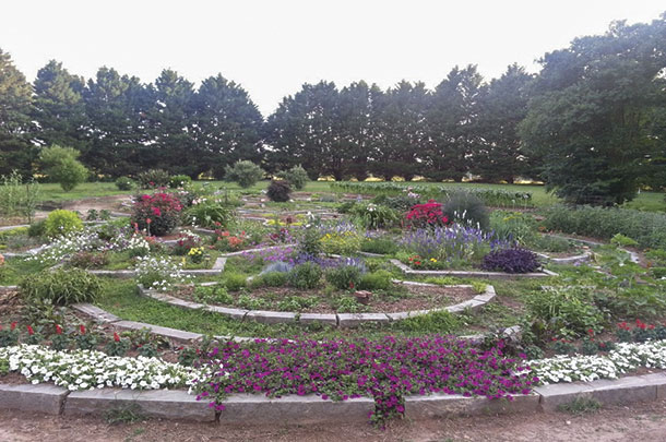 The working cattle farm the "Garden on Chantilly" and a large crater caused by the Simthonia Siderite