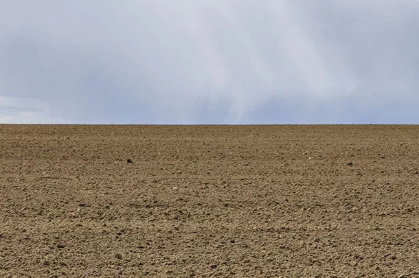 Soil health