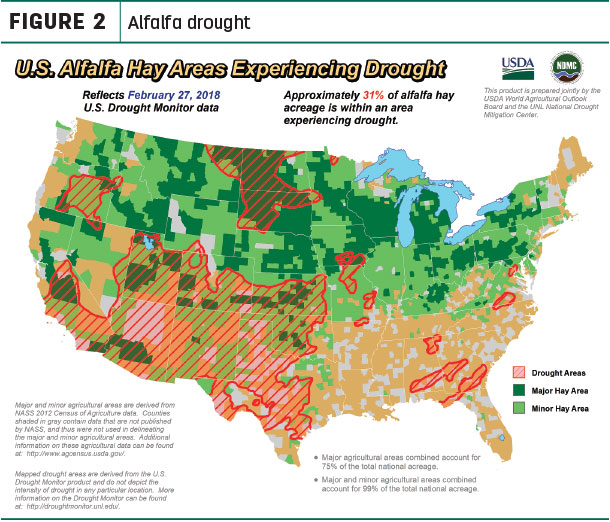 Alfalfa drought