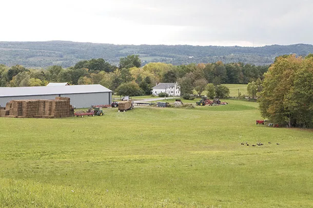 Knight Farm