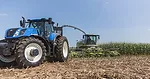 corn harvest