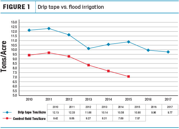 Drip tape vs. flood irrigation